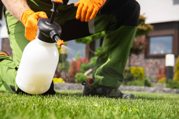 Best Pest Control Near Me in Meadows Place, TX