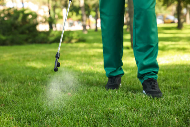 Best Pest Prevention Services  in Meadows Place, TX