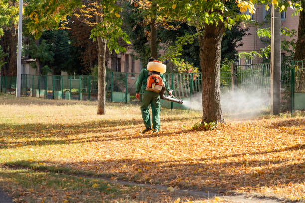 Best Pest Inspection Near Me  in Meadows Place, TX