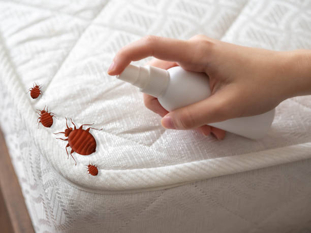 Best Best Pest Control Near Me  in Meadows Place, TX
